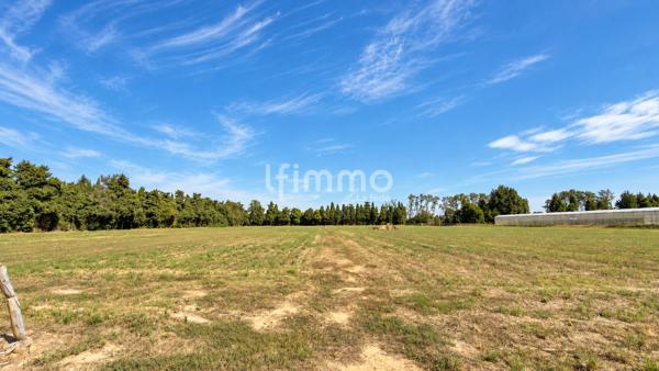 Villa T5 de 159 m2 sur 30 000 m2 de terrain - Elne