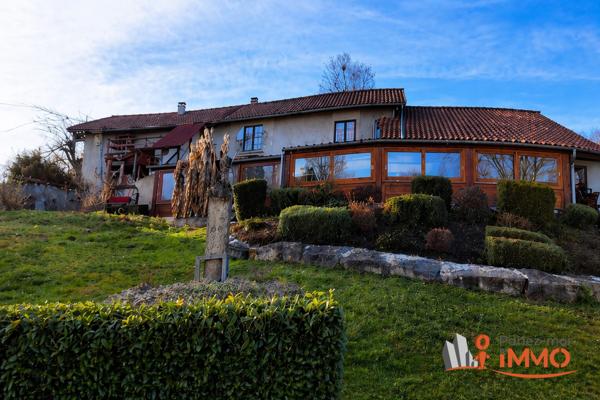 Fonds de commerce à vendre, 385 m² - Le Passage 38490