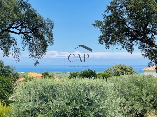 Santa-Maria-Poggio (20221) BELLE VILLA PLAIN PIED SUR BEAU TERRAIN - BELLE VUE MER ET MONTAGNE / APPARTEMENT ATTENANT