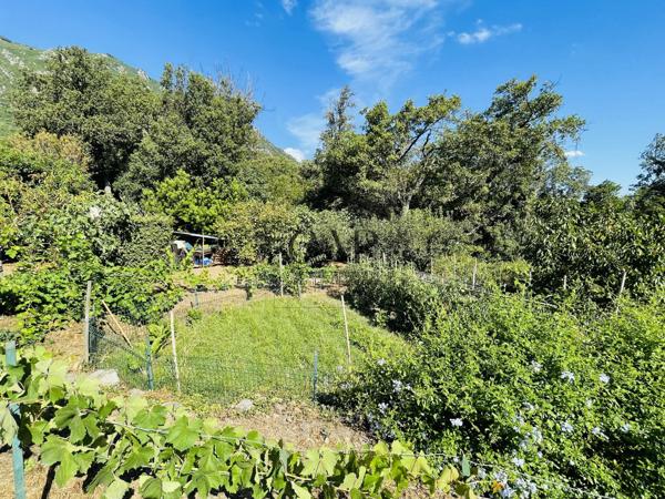 Santa-Maria-Poggio (20221) BELLE VILLA PLAIN PIED SUR BEAU TERRAIN - BELLE VUE MER ET MONTAGNE / APPARTEMENT ATTENANT