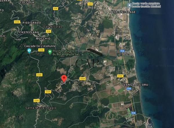 Santa-Maria-Poggio (20221) BELLE VILLA PLAIN PIED SUR BEAU TERRAIN - BELLE VUE MER ET MONTAGNE / APPARTEMENT ATTENANT