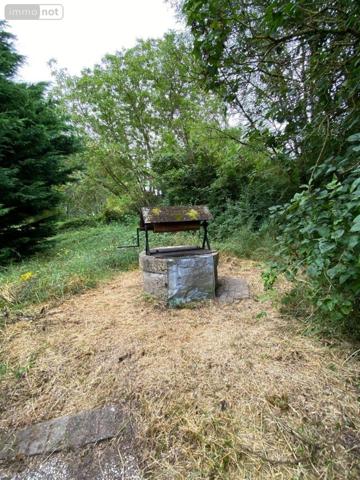 Maison à vendre à Clion dans l'Indre (36700), ref : 1049566