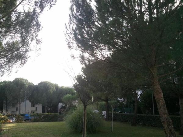 Appartement à louer 3 pièces 69.74m² Montpellier (34000)