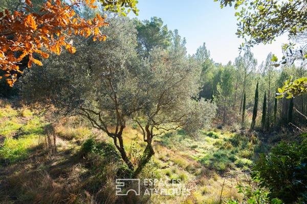 Maison de caractère dépendance avec piscine et vue