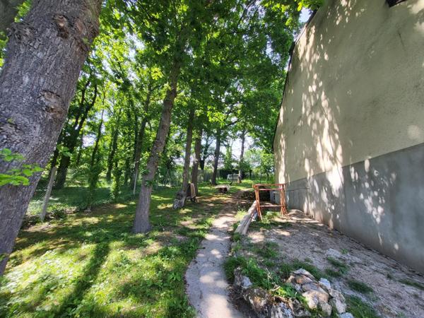 Maison familiale sur terrain arboré en centre ville