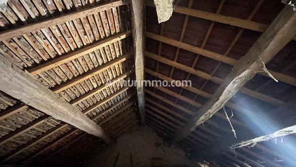 Vente Maison 4 pièces 80 m2 à Grusse