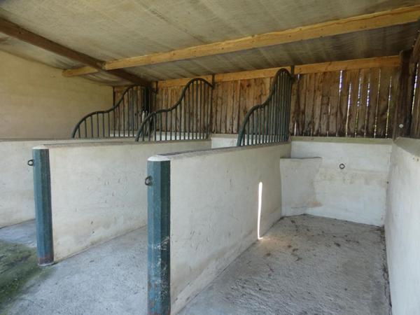 Propriétés équestre