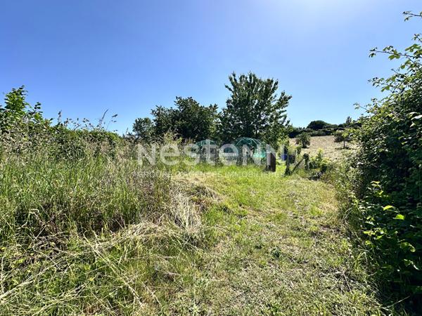 Vente maison spacieuse en pierre de Loire de 149 m² à Saint-Pierre-du-Lorouër (72150)