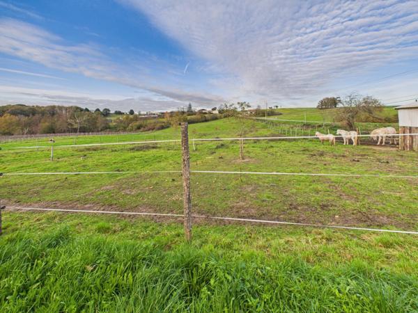 Maison + studio sur terrain de 1,7 hectare : liberté et espaces garantis