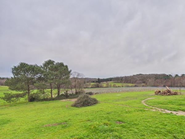 Maison + studio sur terrain de 1,7 hectare : liberté et espaces garantis