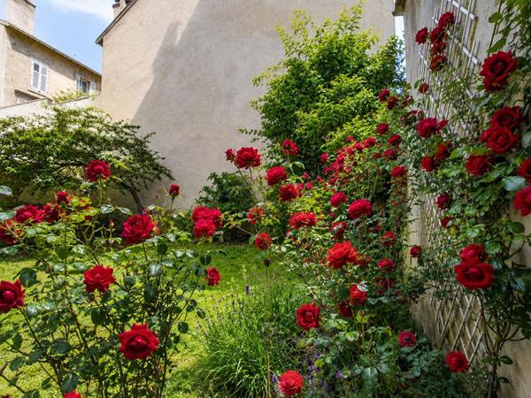 Appartement de caractère rénové ,134 m², 3 chambres, 2 caves, 1 grenier, 1 jardin en rez-de- chaussée