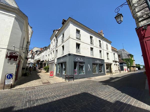 Superbe appartement au coeur de LOCHES