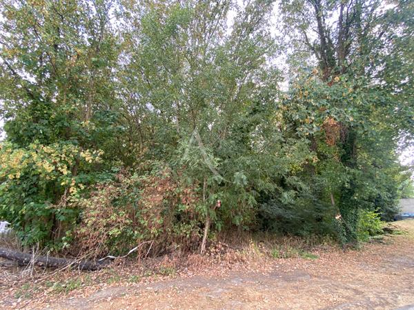 Terrain Moisenay 596 m2