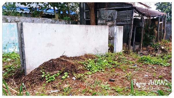 À VENDRE – Terrain de 179 m² à Basse-Terre