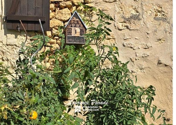 Maison avec gite et dépendance 150m²,terrain 2000m²