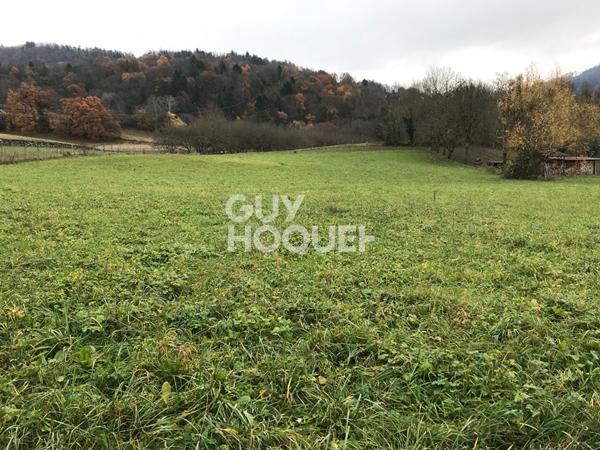 Terrain 1029 M² La Chapelle Blanche