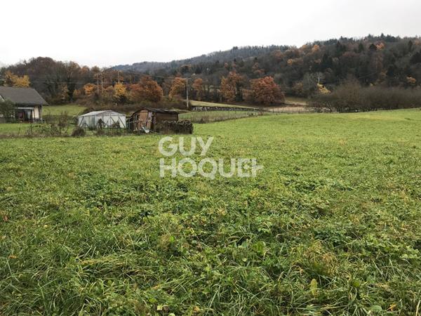 Terrain 1029 M² La Chapelle Blanche