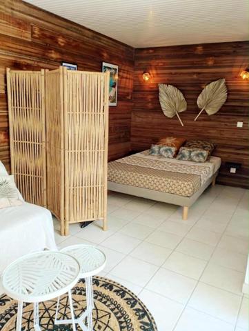 Magnifique villa avec locatif