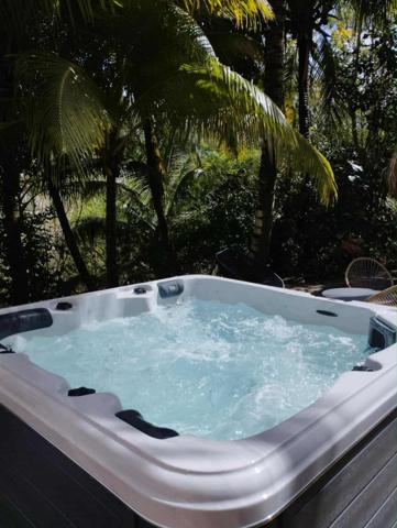 Magnifique villa avec locatif