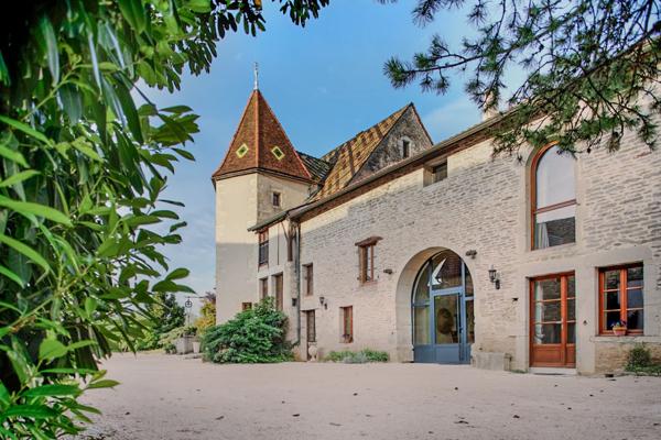 Vente Manoir Dijon 15 Pièces 650 m²
