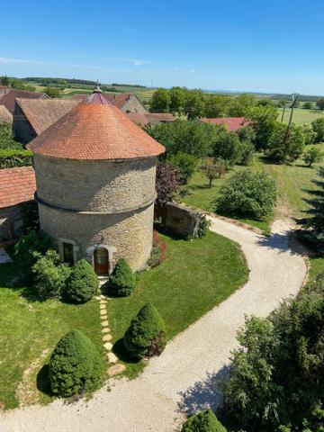 Vente Manoir Dijon 15 Pièces 650 m²