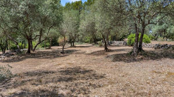 Vente Maison provençale de luxe Draguignan 6 Pièces 178 m²