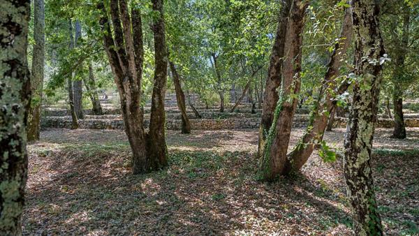 Vente Maison provençale de luxe Draguignan 6 Pièces 178 m²
