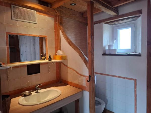 Ce joli bien atypique est idéal pour une résidence secondaire  ou exploiter deux  gîtes indépendants ! Le charme de la pierre et des poutres !