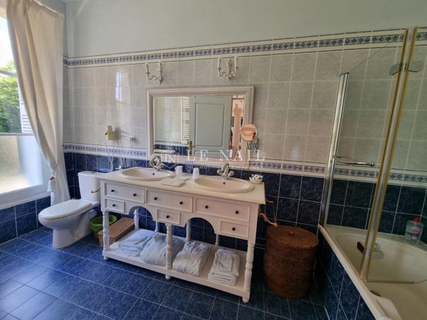 SUPERBE CHATEAU DU XIXeme SIECLE, A VENDRE
