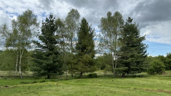 Montsauche-les-Settons (58230) Maison avec etang