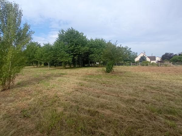 Terrain 1450 m2