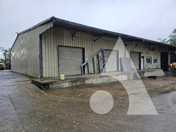 Local d'activité 1 pièce 125 m2