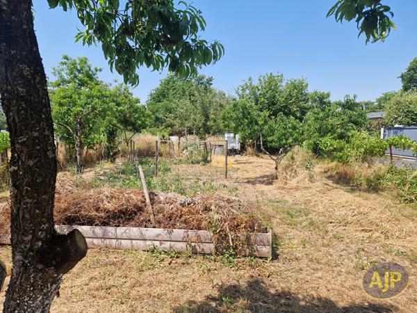 Vente terrain Cugand : 54 000 € - AJP Immobilier Clisson
