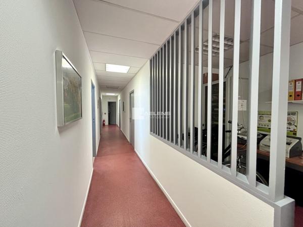 Immobilier Pro Bureau à Lille - Réf. vsm5356c