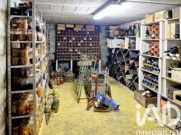 Maison à vendre 5 pièces 217 m² Naintré