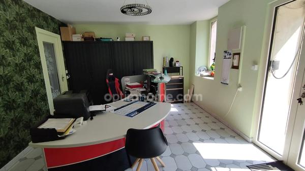 Maison en pierre style corps de ferme – 200 m² habitables avec dépendances - jardin & espace professionnel