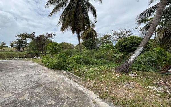 Appartement à louer    2 pièces •  Le Moule