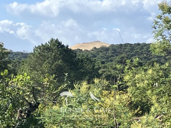 Maison vue dune du Pilat