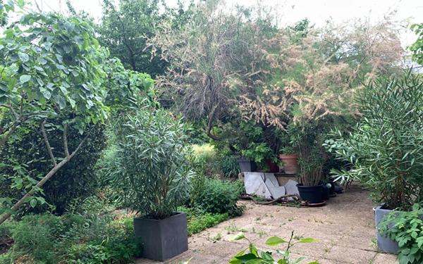 Appartement à louer    4 pièces •  Ivry-sur-Seine