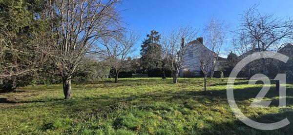 Terrain à vendre  1054 m 2   SEMEAC  - 65
