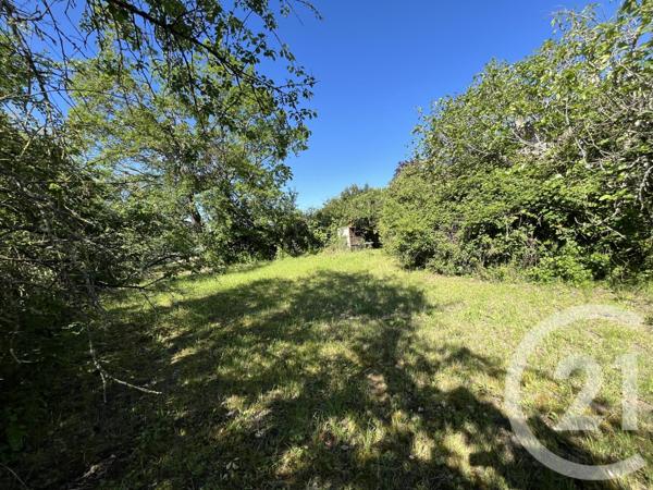 Maison à vendre  5 pièces - 470 m2 LABESSIERE CANDEIL - 81