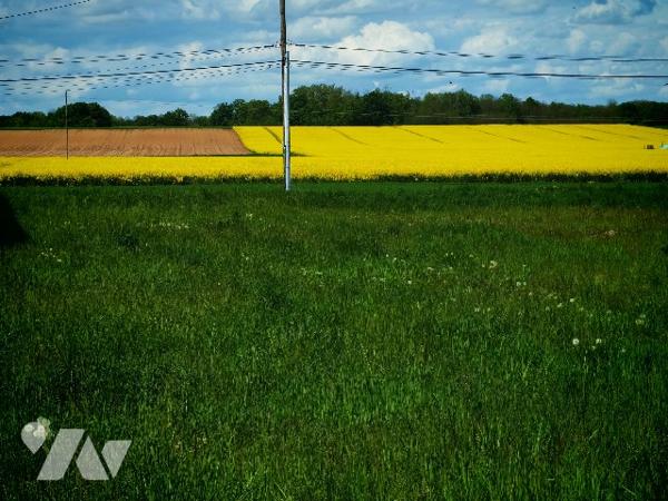 Au calme, venez découvrir ce terrain à bâtir non viabilisé.
