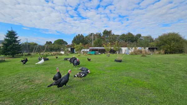Maison néo-bretonne à vendre à Montoir de Bretagne - 7 pièces - aux portes de SAINT NAZAIRE proche AIRBUS