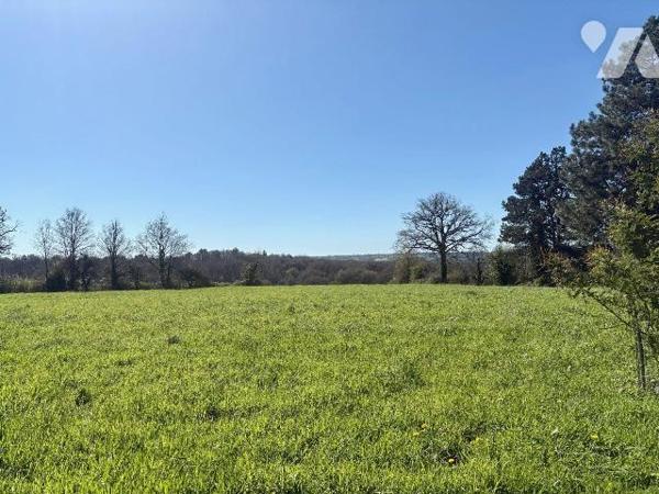 Cette maison individuelle offre un cadre de vie agréable et un beau potentiel, sublimé par un t...
