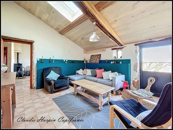 Propriété à vendre avec gîtes - dépendances - piscine - 14 pièces LA FERRIERE EN PARTHENAY (79) 429 m² habitable - terrain 5865 m²