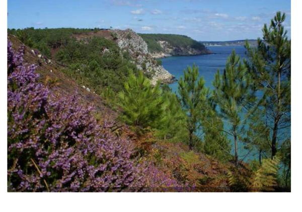 propriete pour gites et hebergements insolites cap de la chevre MORGAT CROZON