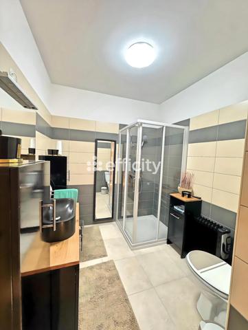 Appartement 2 pièces - 50 m² Exclusivité efficity