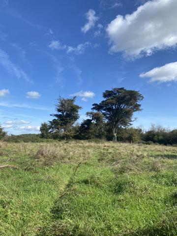 Saint-Gilles-Croix-de-Vie (85800) SAINT-GILLES-CROIX-DE-VIE & GIVRAND - TERRAIN AGRICOLE et NATURELLE DE PLUS D'UN HECTARE ET DEMI