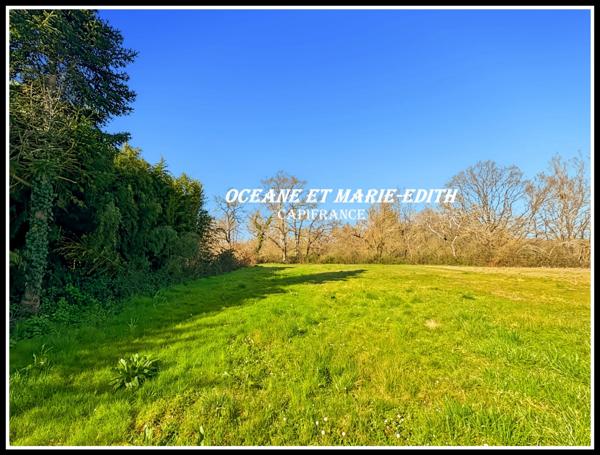 Propriéte agricole secteur EAUZE (32) Maison Gasconne 10 Pièces + Nombreux hangars 2 LACS SANS VIS à VIS