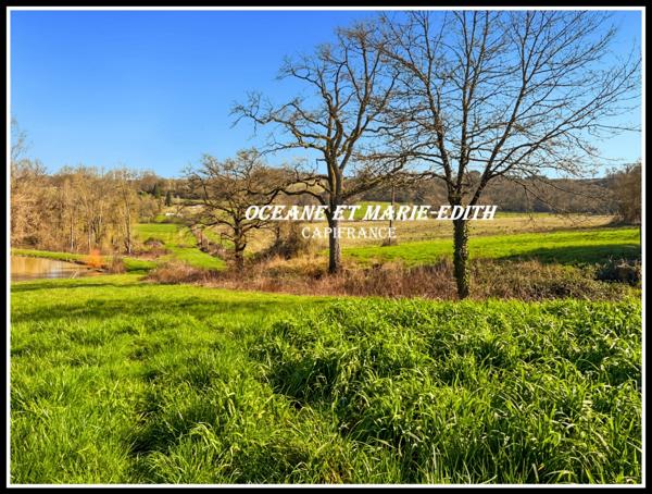 Propriéte agricole secteur EAUZE (32) Maison Gasconne 10 Pièces + Nombreux hangars 2 LACS SANS VIS à VIS